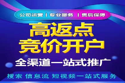 案例分析：百度推广成功案例解析